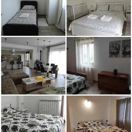 Palazzon - ~ Novigrad *